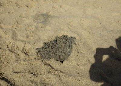 unter dem weissen Sand liegt der schwarze