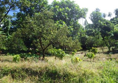 Chateaubelair, Weg zum Wasserfall