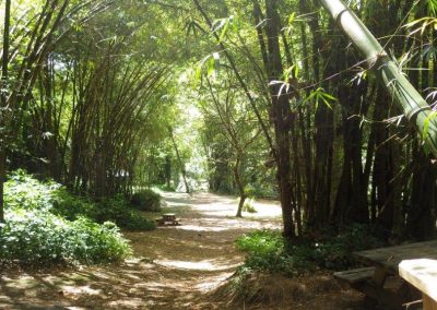 Chateaubelair, Picknickplatz am Wasserfall